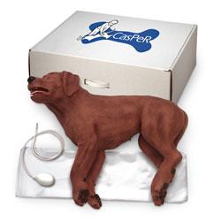 Casper The CPR Dog [SKU: 100-5000]
