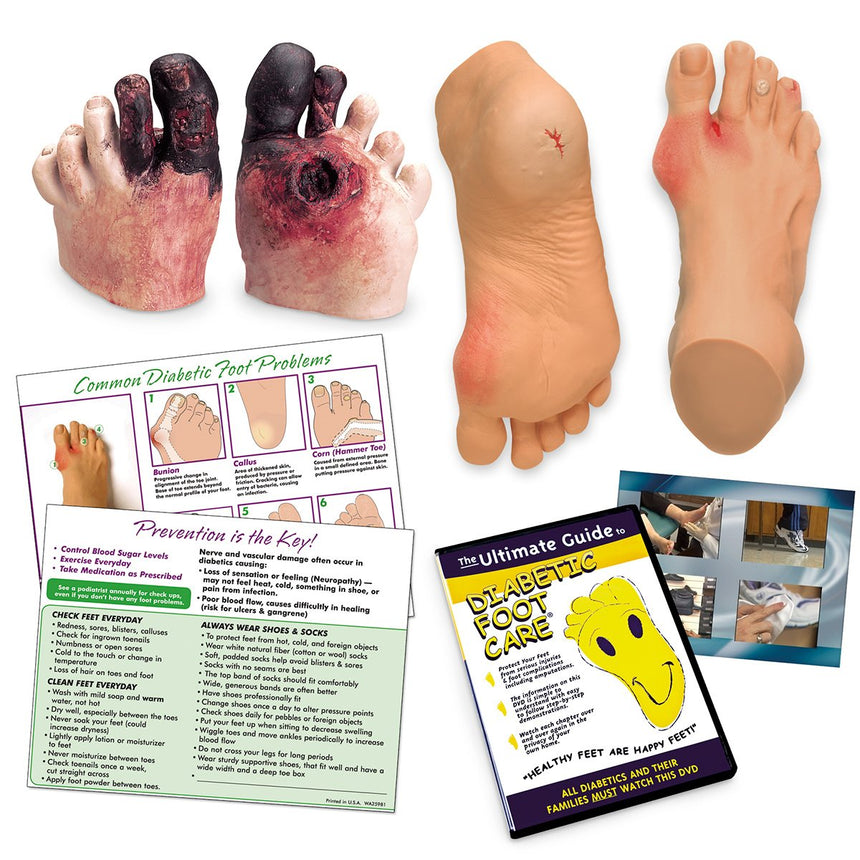 Life/form® Complete Diabetic Foot Care Education [SKU: WA29842]