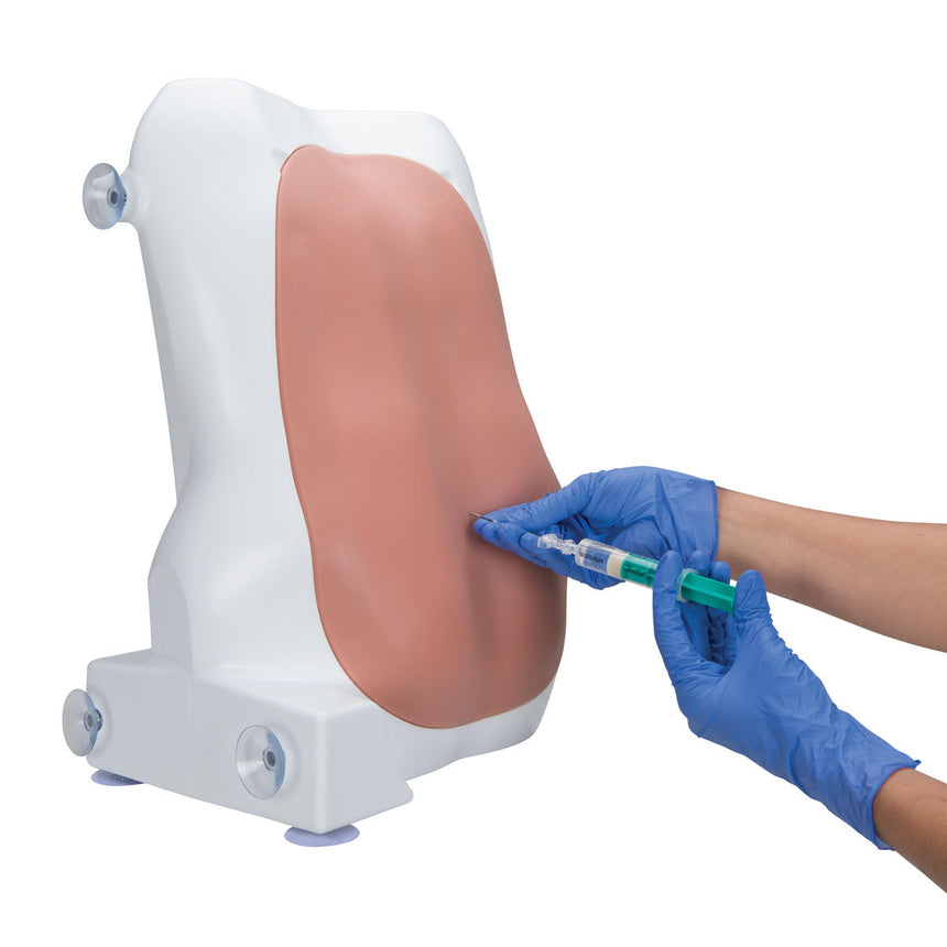 Epidural and Spinal Injection Trainer, Light [SKU: 1017891]