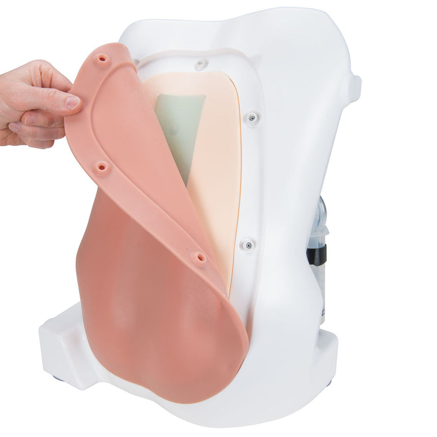 Epidural and Spinal Injection Trainer, Light [SKU: 1017891]