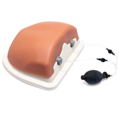 Image Guided Thoracic Spinal Injection Trainer [SKU: 1021899]