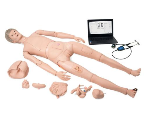 Nikki the Nursing Manikin with Auscultation [SKU: 1022952]