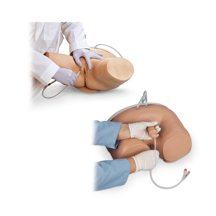 Life/form® Male & Female Catheterization Simulator Set [SKU: LF00857]
