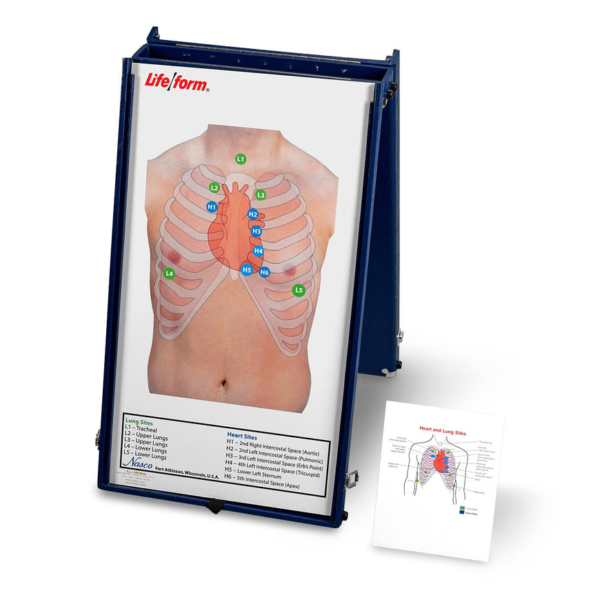 Life/form® Anterior Auscultation Practice Board with Case Only [SKU: LF01190]