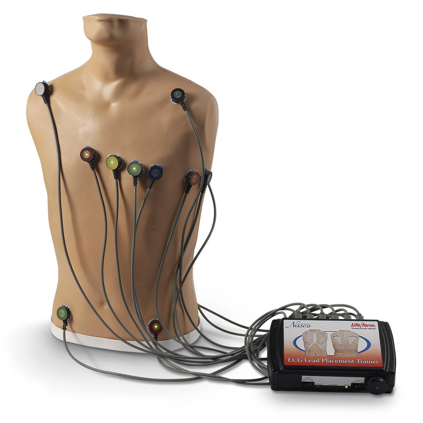Life/form® 15-Lead ECG Placement Trainer [SKU: LF01300]