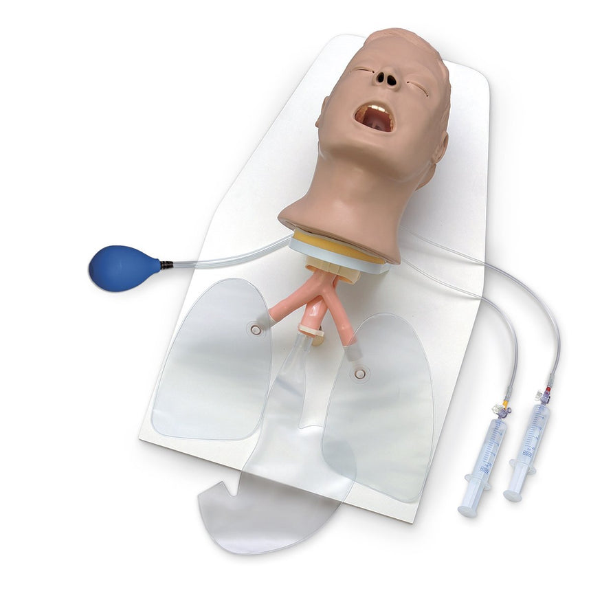 Life/form® Advanced "Airway Larry" Trainer Head with Stand [SKU: LF03685]