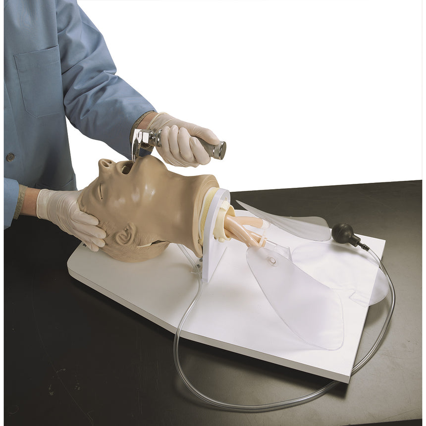 'Airway Larry' Adult Airway Management Trainer with Stand [SKU: LF03699]
