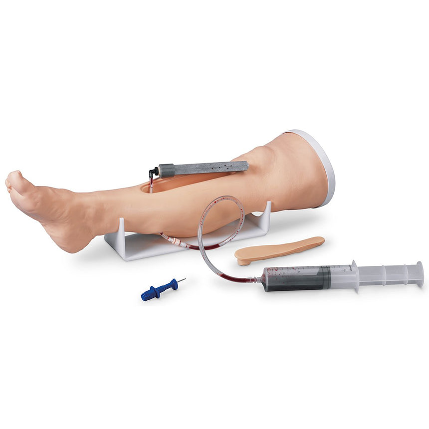 Life/form® Adult Intraosseous Infusion Simulator