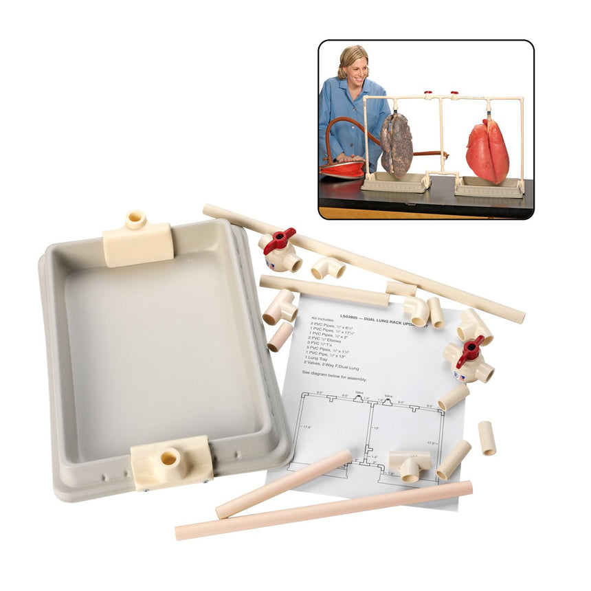 BioQuest® Dual Lung Rack Update Kit, Preserved