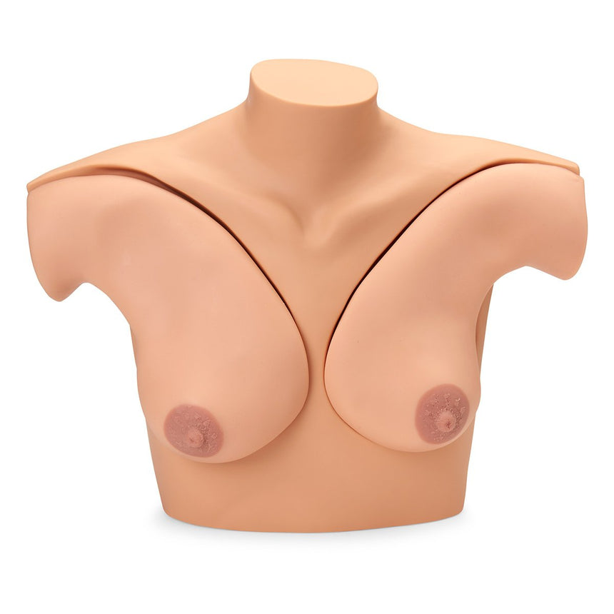 Gaumard® Breast Self-Examination Simulator and CD - Light
