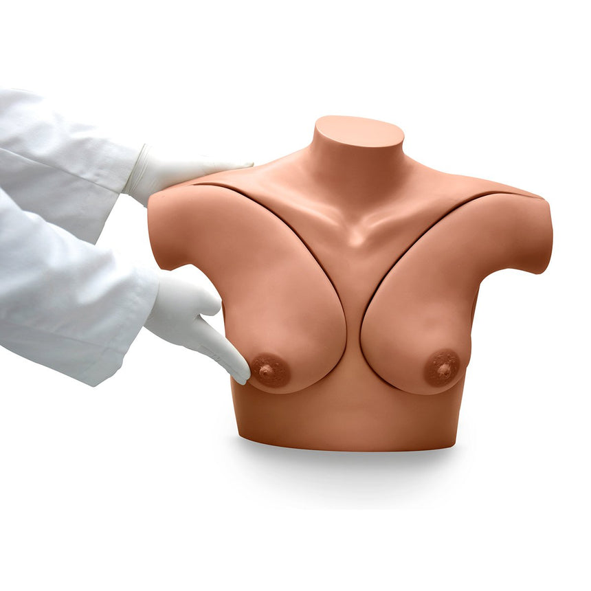 Gaumard® Breast Self-Examination Simulator and CD - Medium