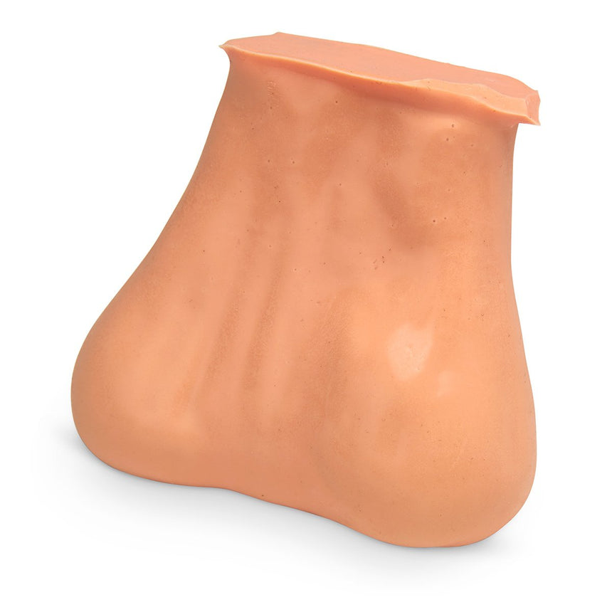 Testicle Model - 2 Lumps in Each Testicle